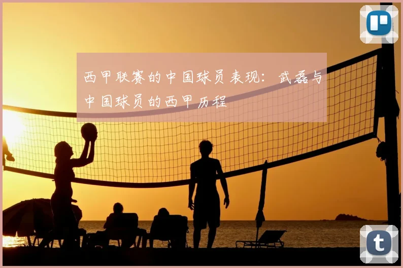 西甲联赛的中国球员表现:武磊与中国球员的西甲历程
