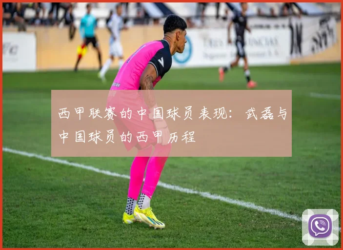 西甲联赛的中国球员表现：武磊与中国球员的西甲历程